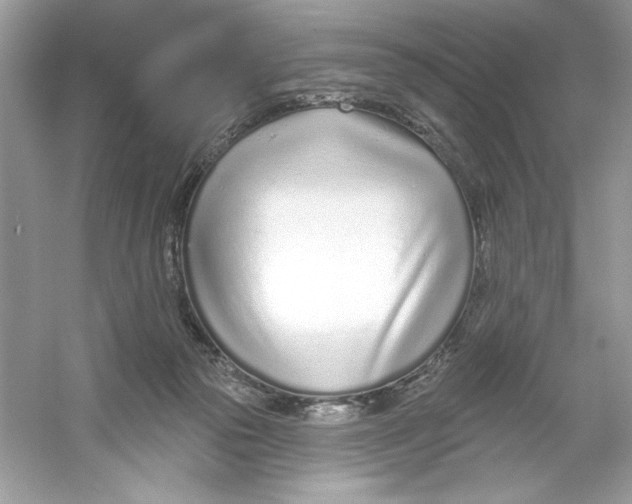 X0000053000169200508051143