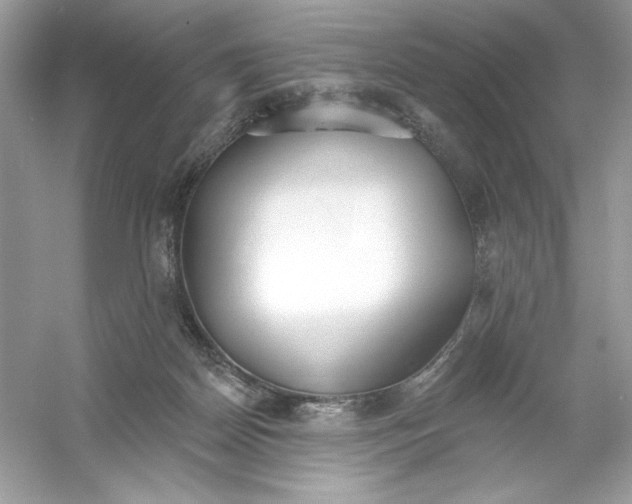 X0000053000170200508051143