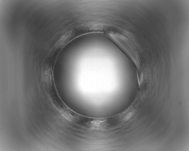 X0000053000172200508051143