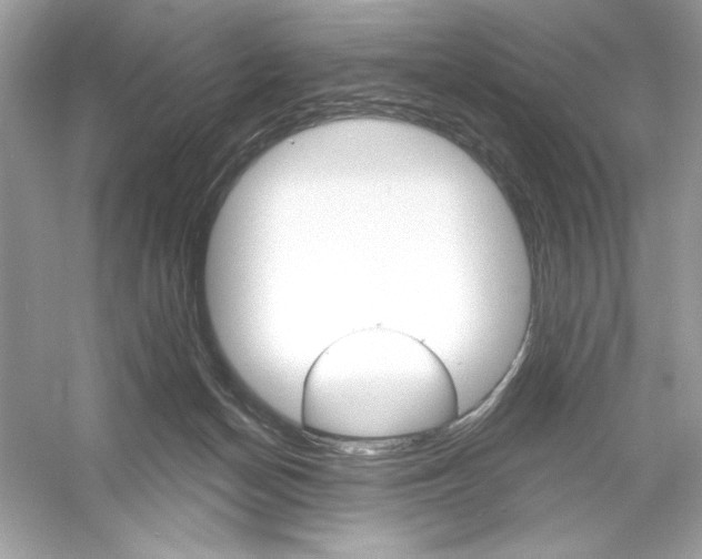 X0000053000174200508051143