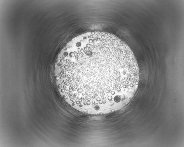 X0000053000175200508051143