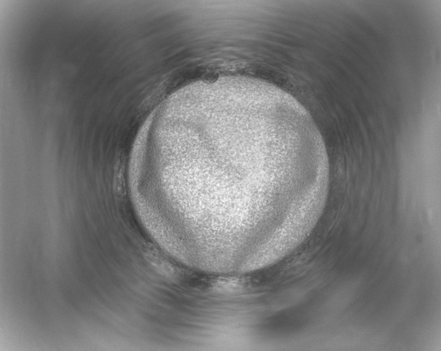 X0000053000177200508051144