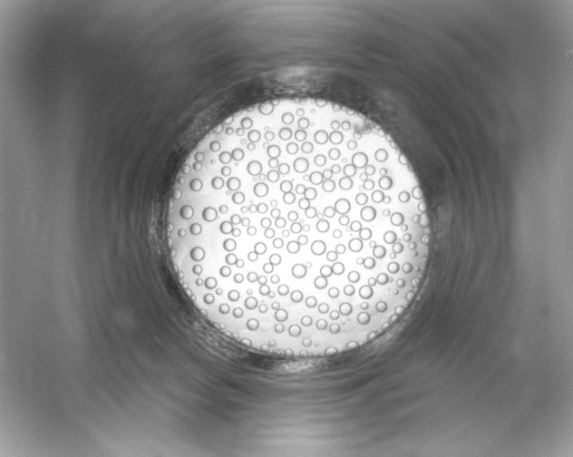 X0000053000178200508051144