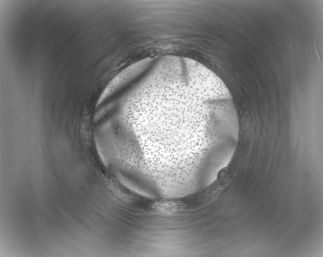 X0000053000181200508051144