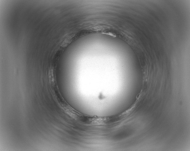 X0000053000182200508051144