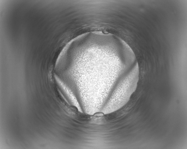 X0000053000185200508051144