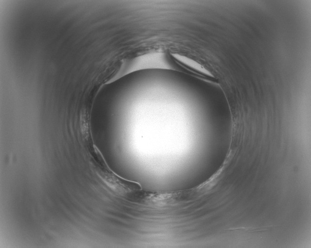 X0000053000186200508051144