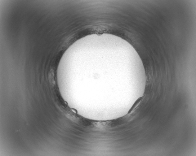 X0000053000187200508051144