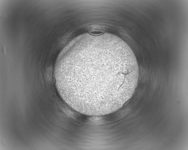 X0000053000189200508051144