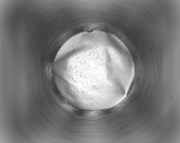 X0000053000191200508051144