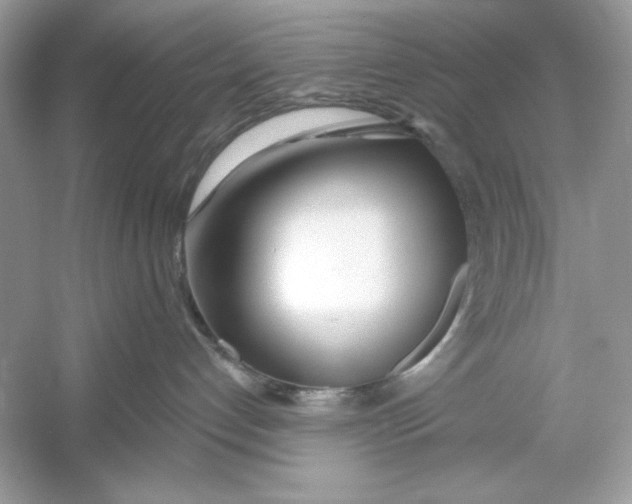 X0000053000192200508051144