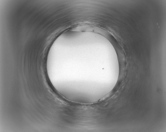 X0000053000193200508051143