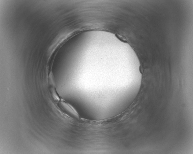 X0000053000194200508051143