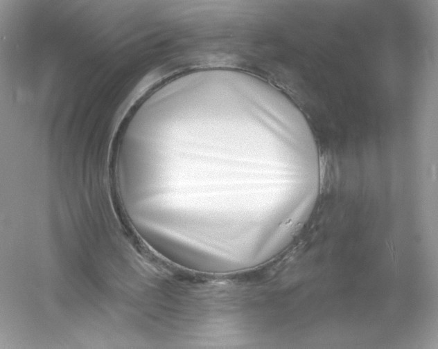 X0000053000195200508051143