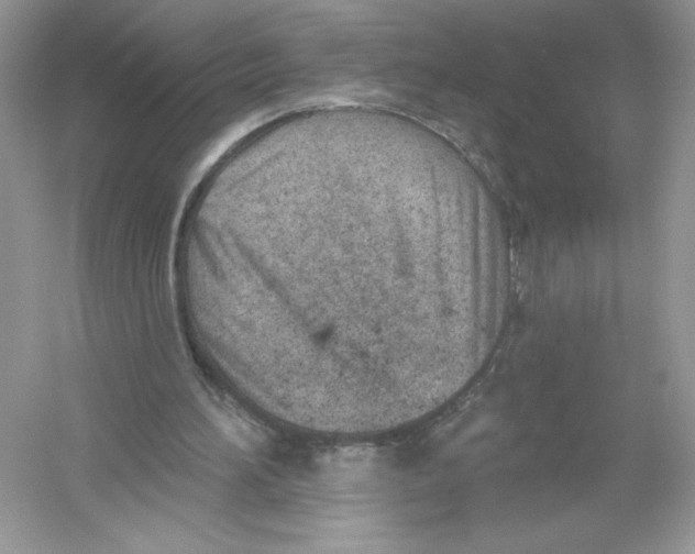 X0000053000196200508051143