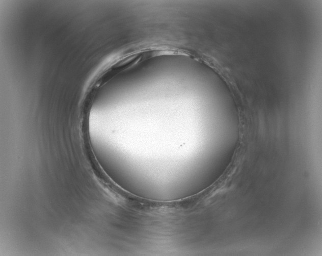 X0000053000197200508051143