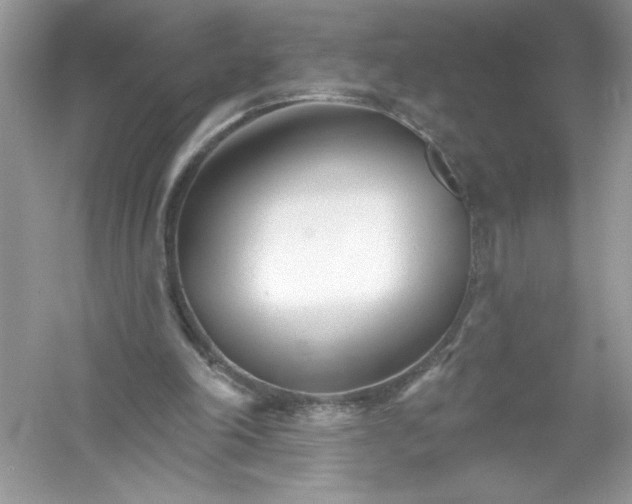 X0000053000198200508051143