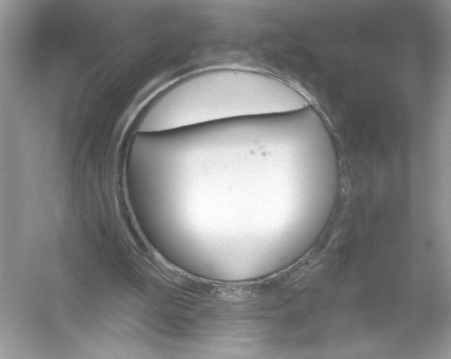 X0000053000199200508051143