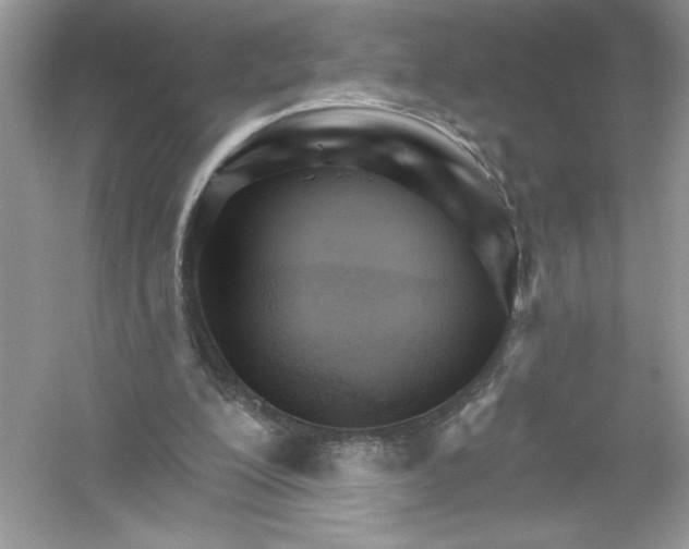 X0000053000200200508051143