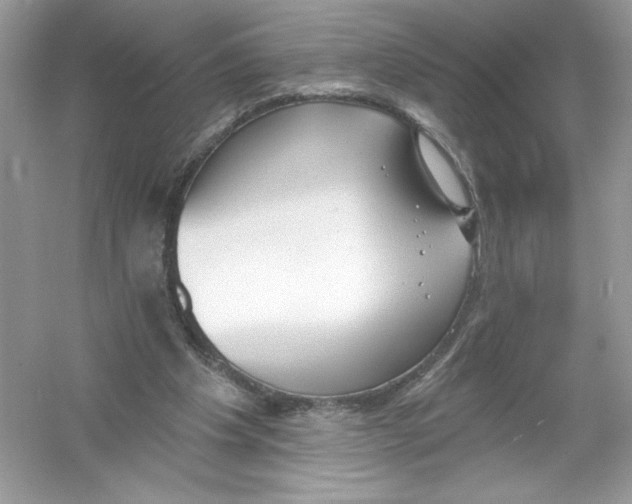 X0000053000201200508051143