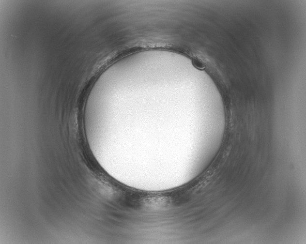 X0000053000202200508051143