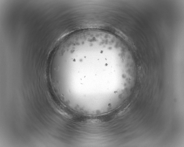 X0000053000203200508051143