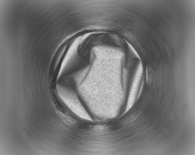 X0000053000204200508051143