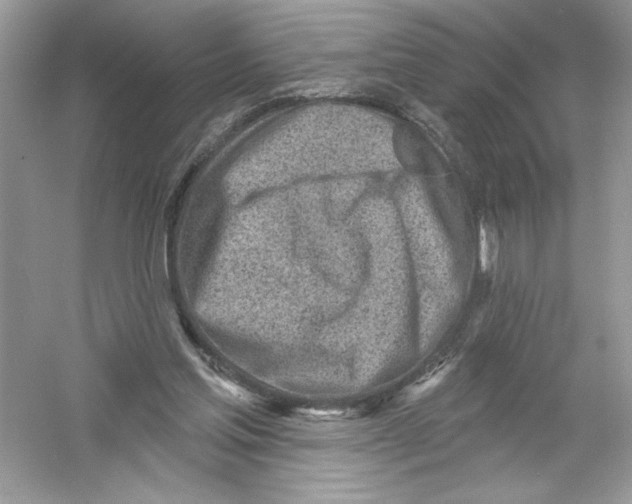 X0000053000205200508051143