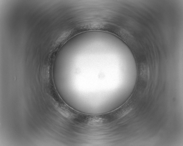 X0000053000206200508051143