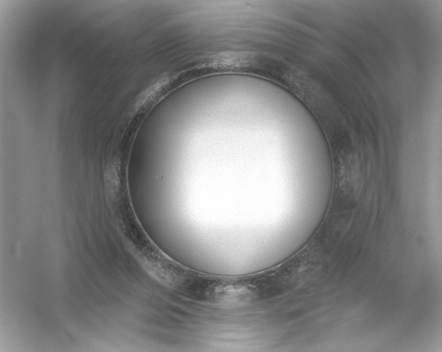 X0000053000208200508051143