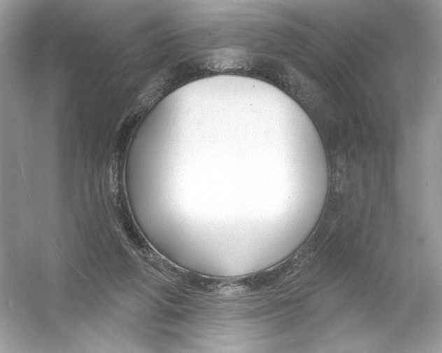 X0000053000210200508051143