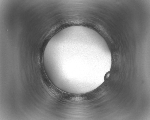 X0000053000212200508051143