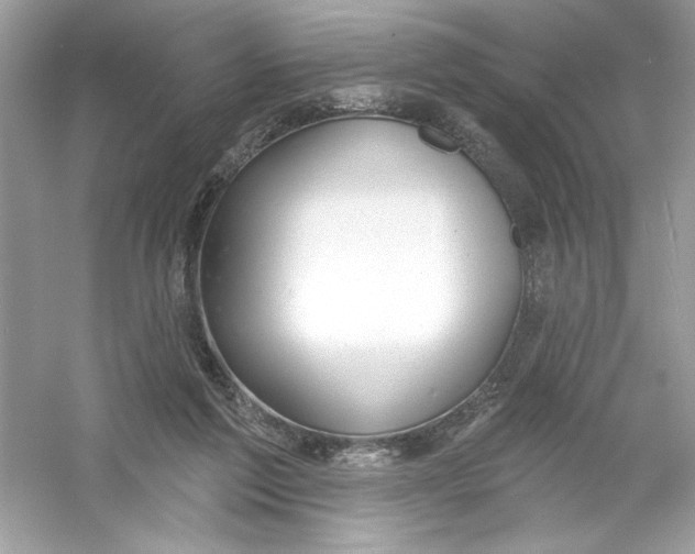 X0000053000213200508051143