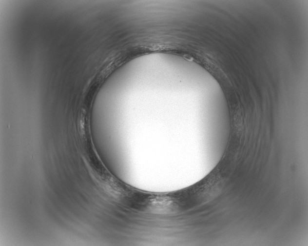 X0000053000214200508051143