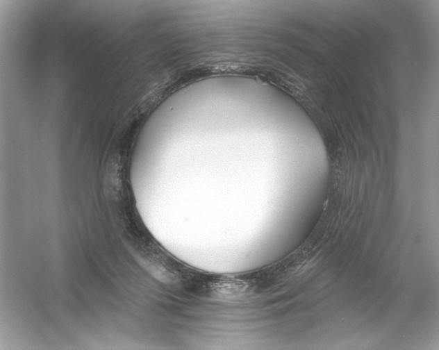 X0000053000215200508051143