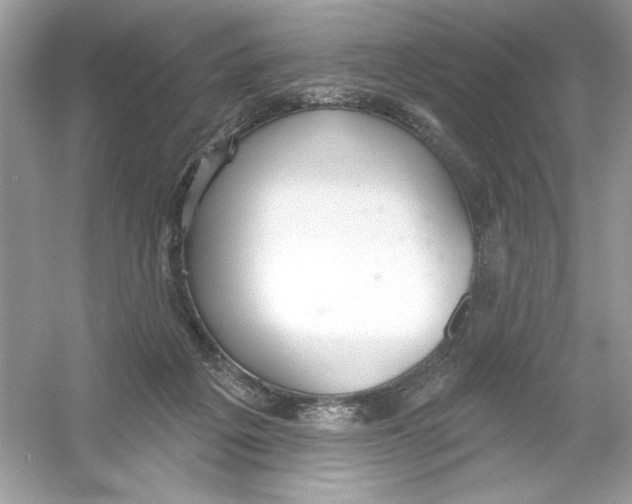 X0000053000217200508051143