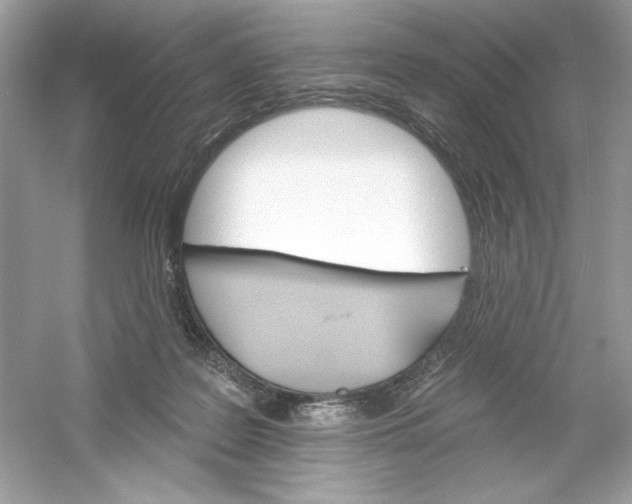 X0000053000219200508051142