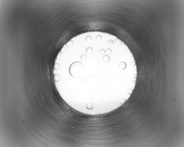 X0000053000220200508051142