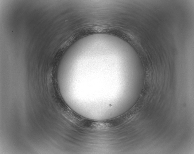 X0000053000221200508051142