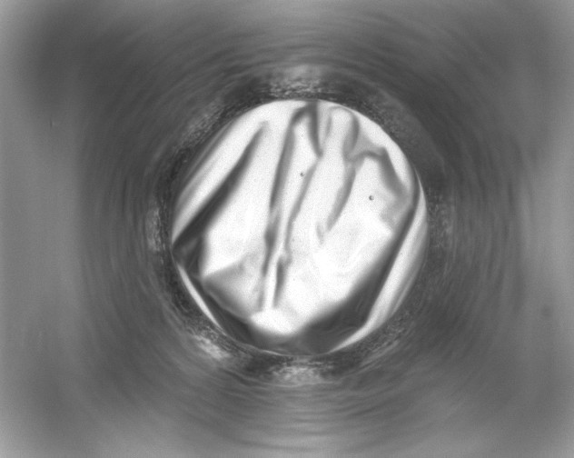 X0000053000224200508051142