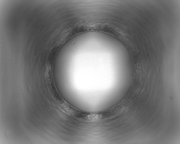 X0000053000225200508051142