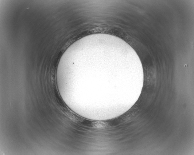 X0000053000226200508051142