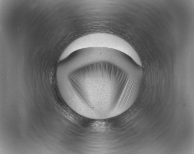 X0000053000227200508051142