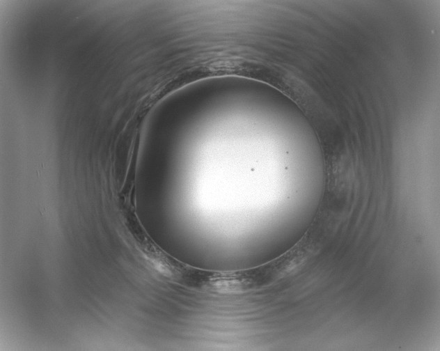 X0000053000228200508051142