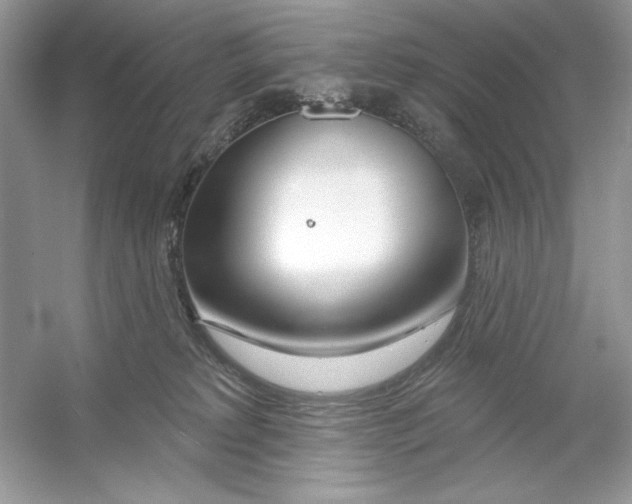 X0000053000229200508051142