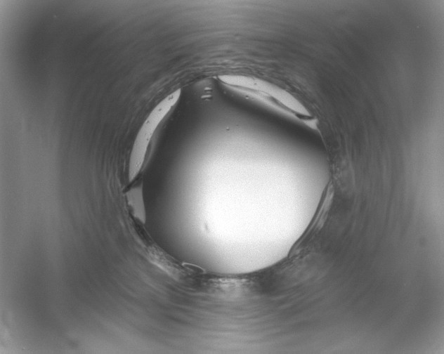 X0000053000233200508051142