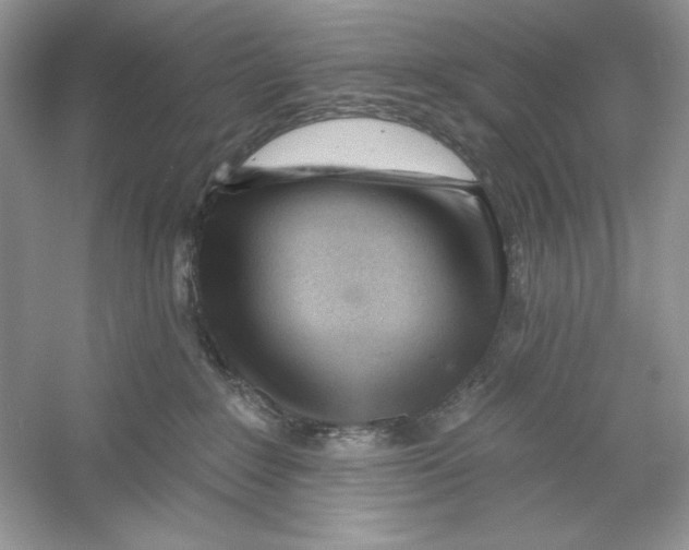 X0000053000235200508051142