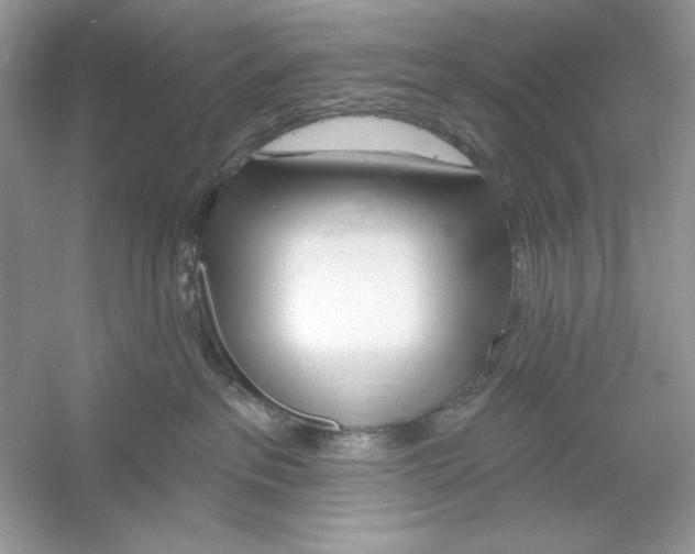 X0000053000237200508051142