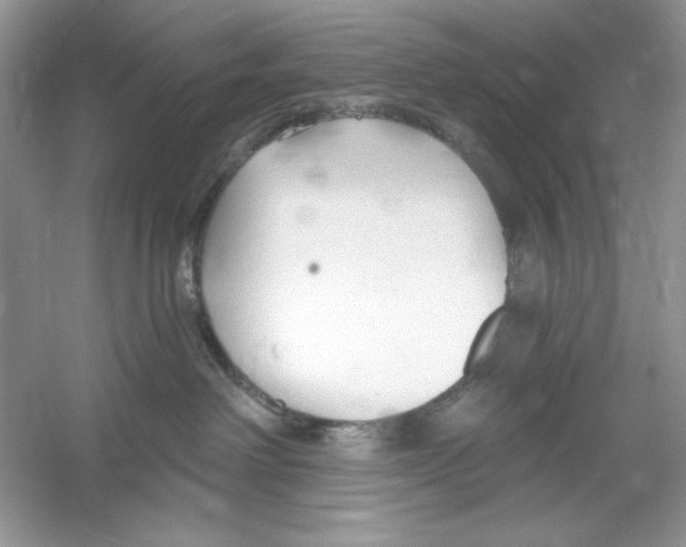 X0000053000238200508051142