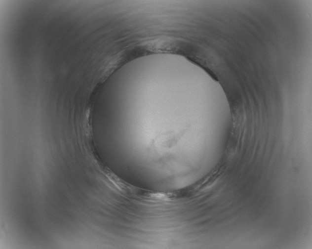 X0000053000239200508051142